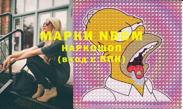 хмурый Пестово