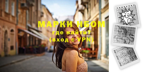 дмт Пересвет