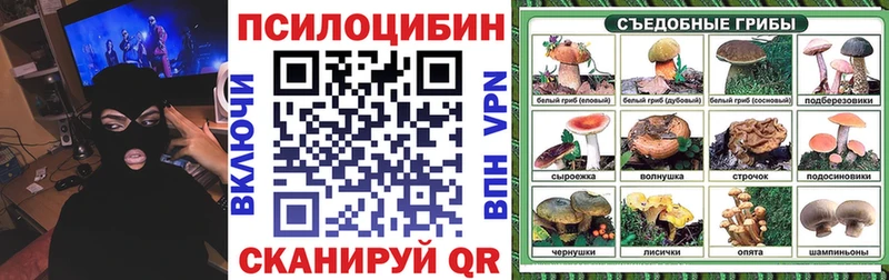 Галлюциногенные грибы MAGIC MUSHROOMS  Купить закладки  Орёл 